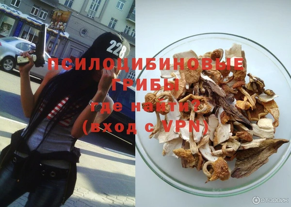 индика Армянск