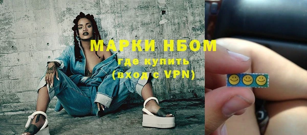 индика Армянск