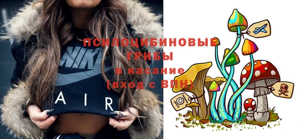 винт Арсеньев