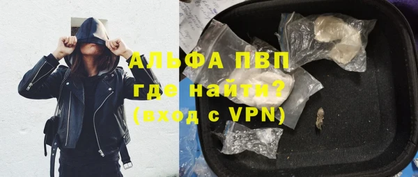 индика Армянск