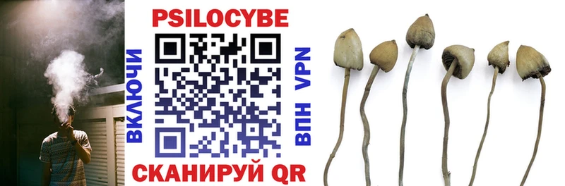 Псилоцибиновые грибы Psilocybe  мега вход  Медвежьегорск  где купить наркоту 